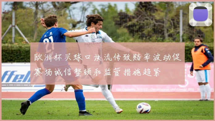 欧洲杯买球口诀流传致赔率波动促赛场诚信整顿和监管措施趋紧