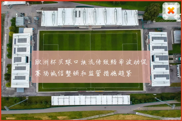 欧洲杯买球口诀流传致赔率波动促赛场诚信整顿和监管措施趋紧