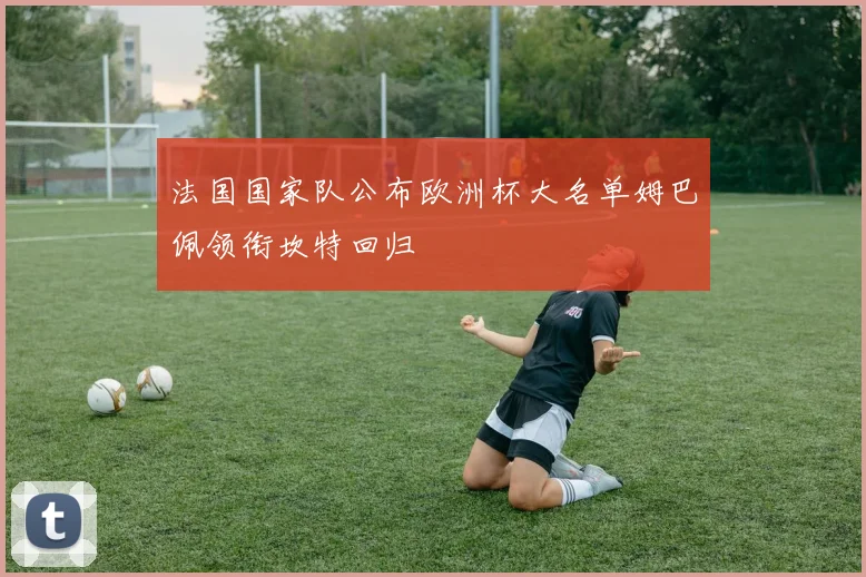 法国国家队公布欧洲杯大名单姆巴佩领衔坎特回归