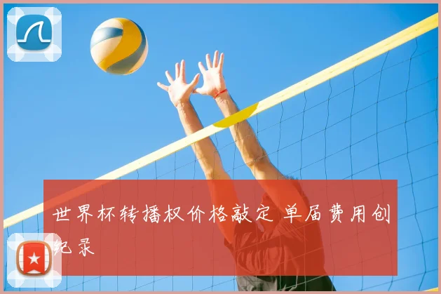 世界杯转播权价格敲定 单届费用创纪录