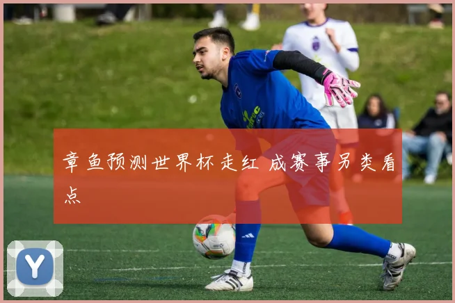 章鱼预测世界杯走红 成赛事另类看点